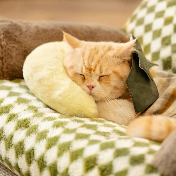 Fashion Cute accogliente cuscino per animali domestici