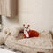 Wärmendes, flauschiges, beruhigendes Hundebett in Knochenwolkenform