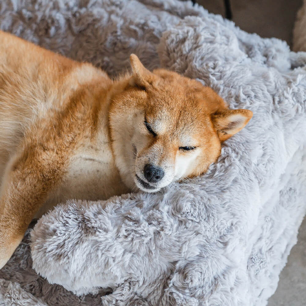 Lit apaisant pour chien en forme de nuage d'os moelleux et chauffant