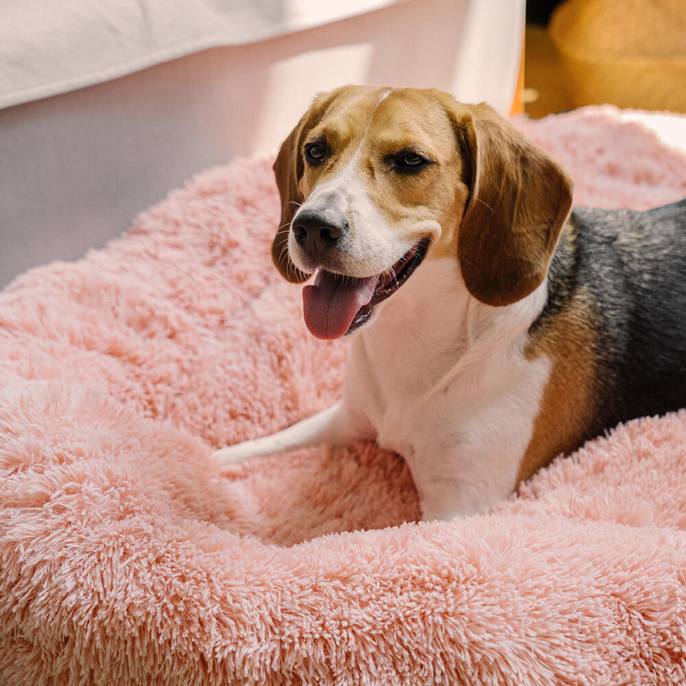 Fuzzy Round Fluffy Dog Bed