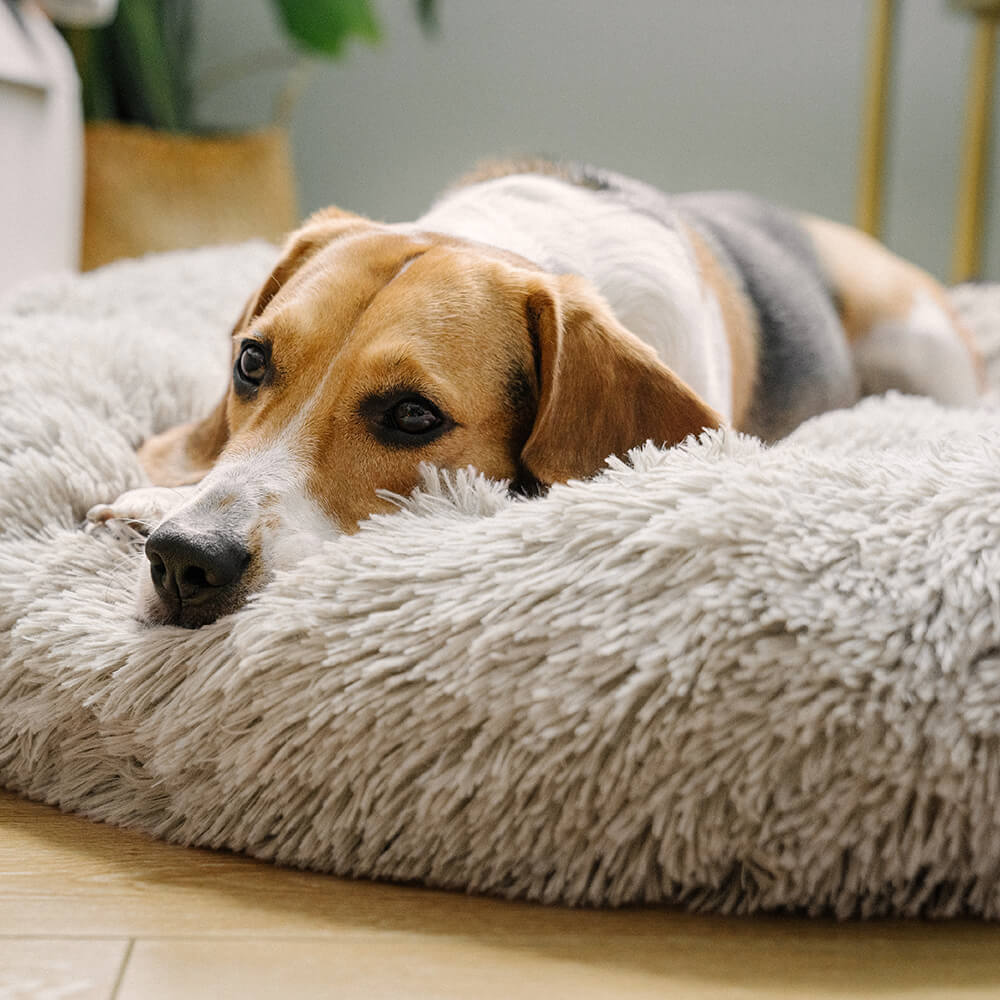 Fuzzy Round Fluffy Hundebett