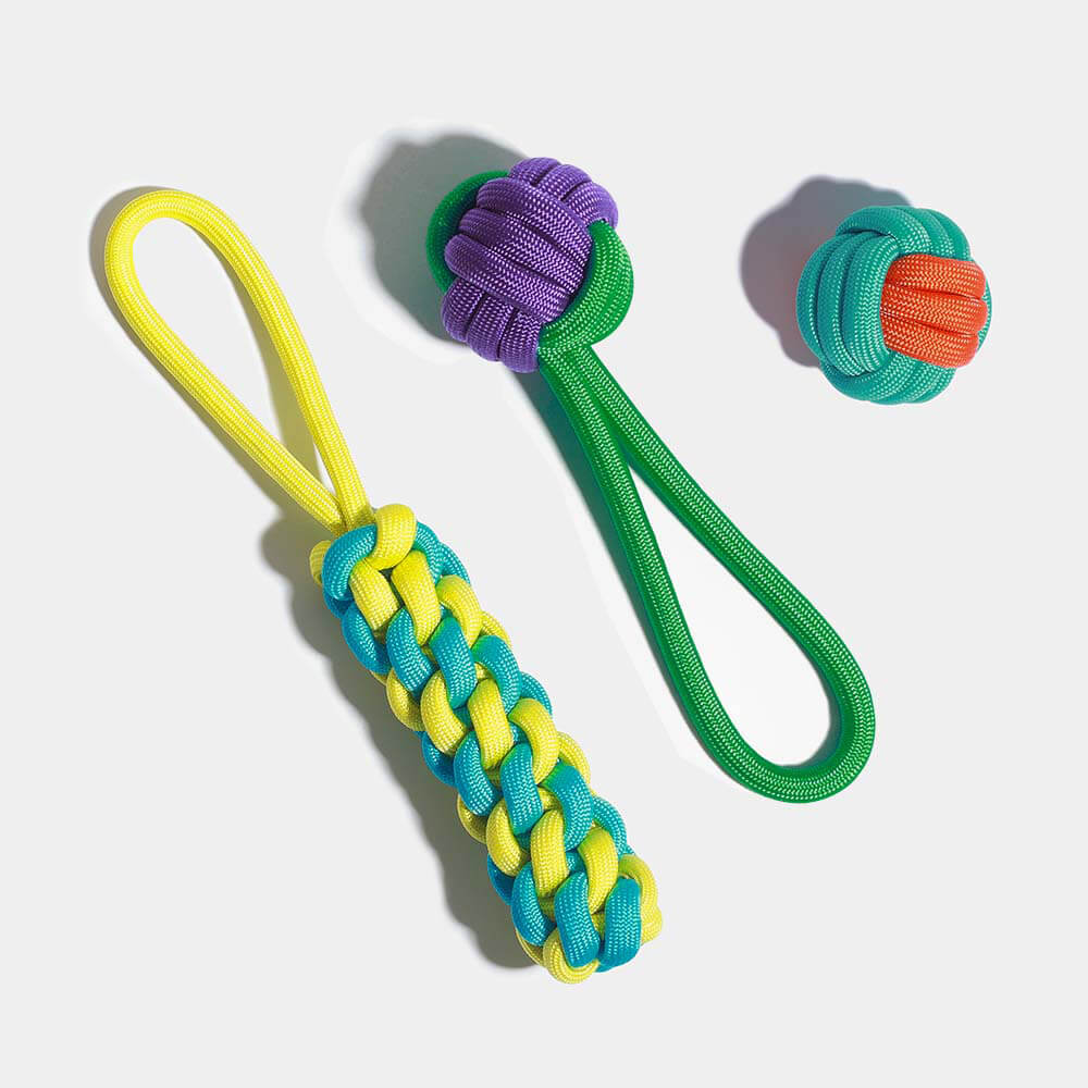 Ensemble de jouets pour chien en corde à nœuds - Color Clash