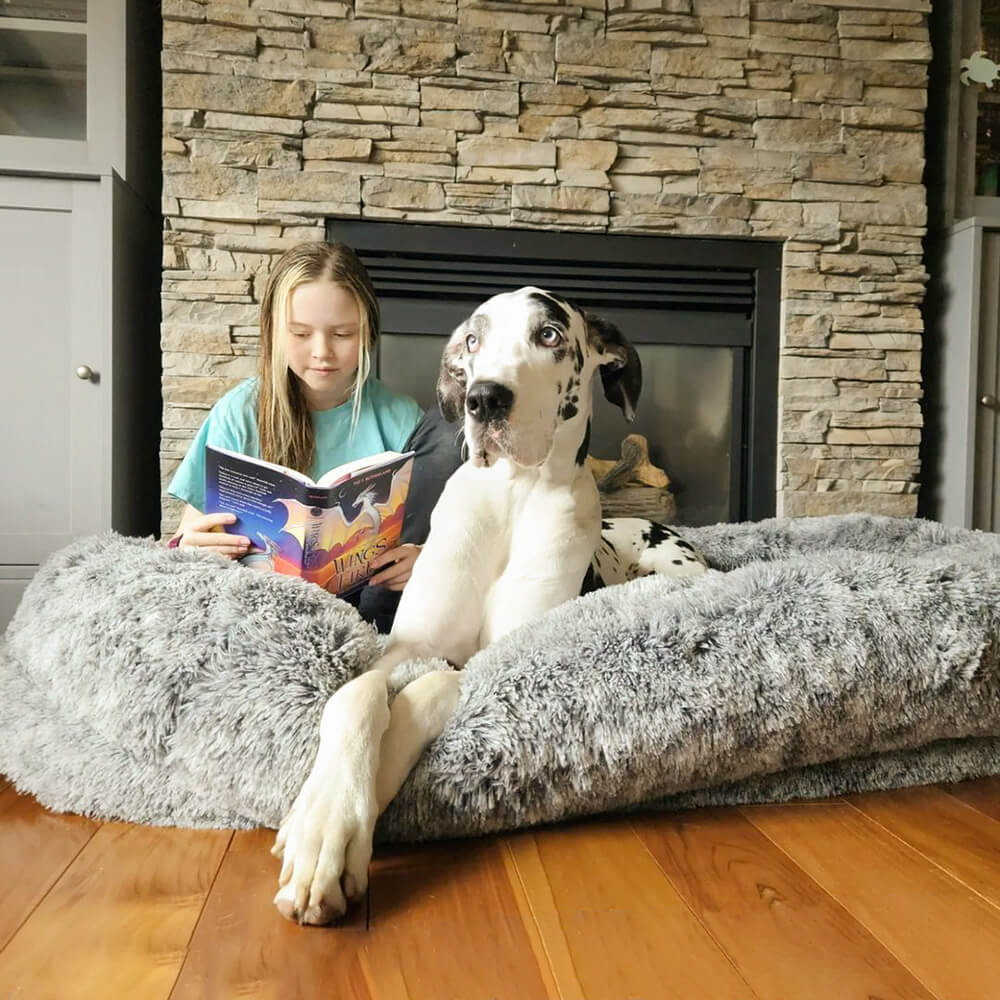 Donut Orthopedic Dog Bed