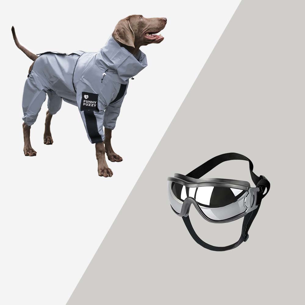 Reflektierender, wasserdichter Allwetter-Regenmantel mit coolem Hundezubehör