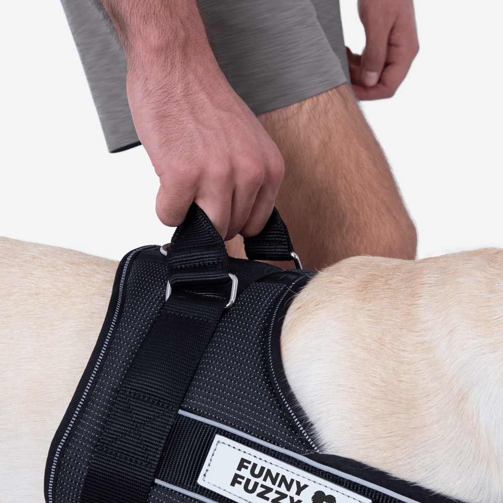 Leicht zu tragendes Hundegeschirr, großes Anti-Pull-Hundegeschirr für den Kofferraum mit Griff