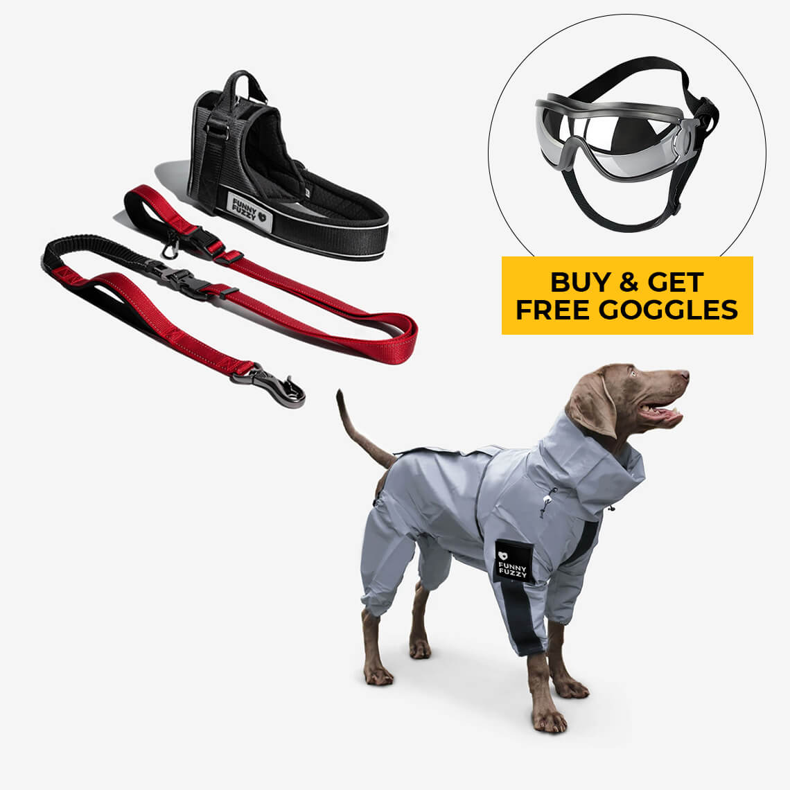 Ensemble de promenade d'accessoires pour chiens Swag & Safe Cool