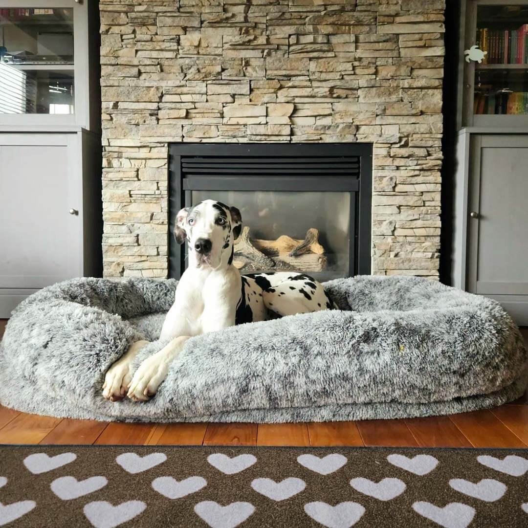 Luxuriöses, supergroßes, tieferes, ovales Bett für menschliche Hunde