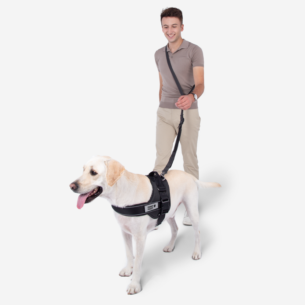 Laisse de chien mains libres multifonction avec ceinture de sécurité